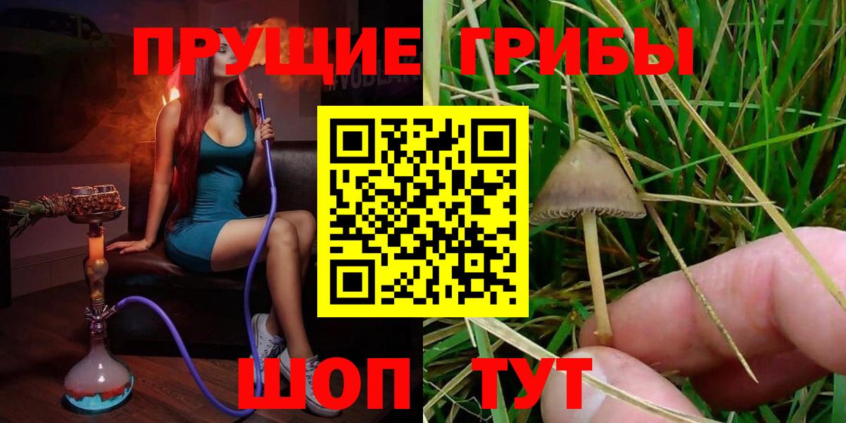 сколько стоит  Псилоцибиновые грибы Magic Shrooms  Вход с VPN  Долгопрудный 